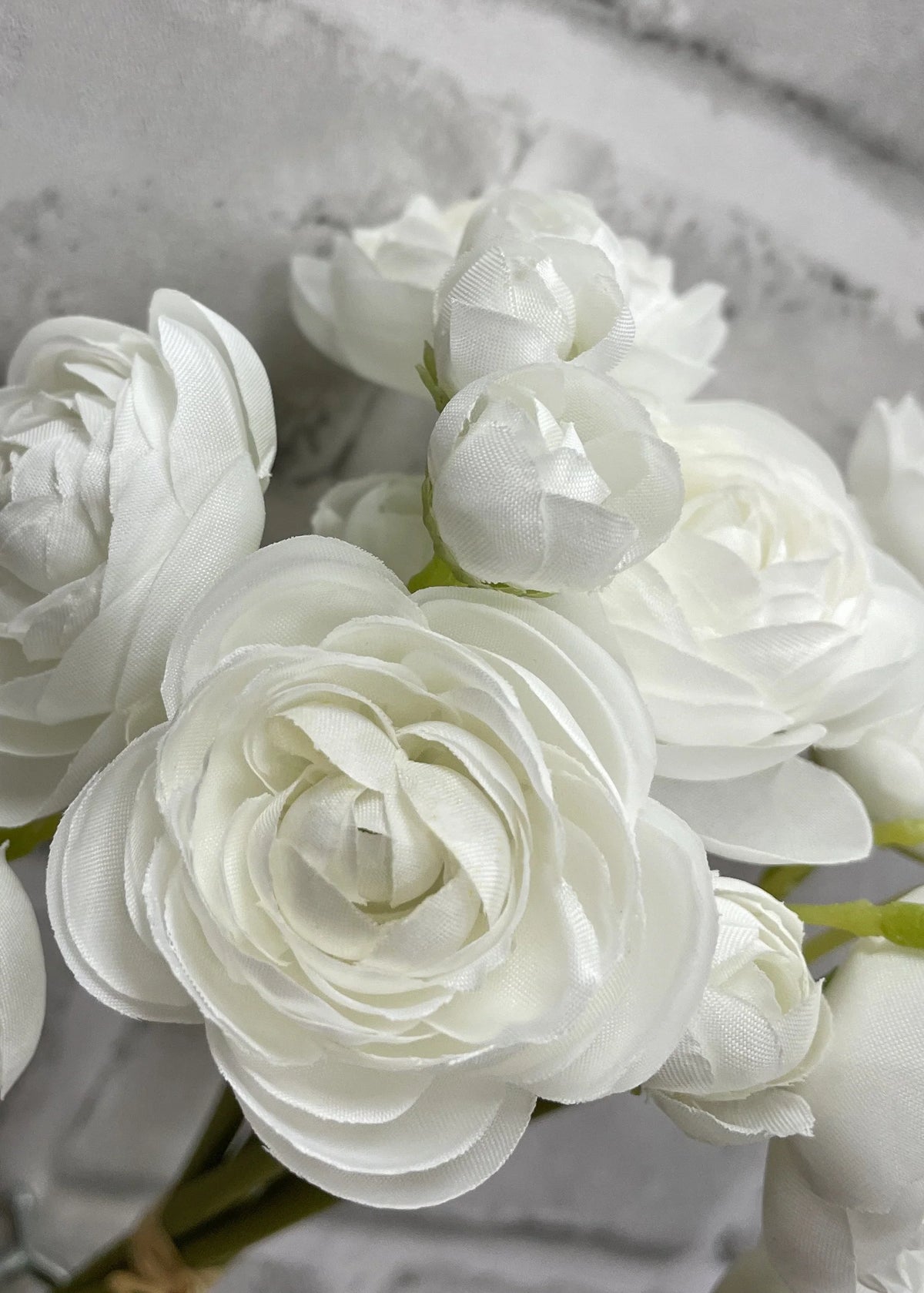 Ranunculus