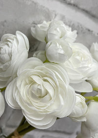 Ranunculus