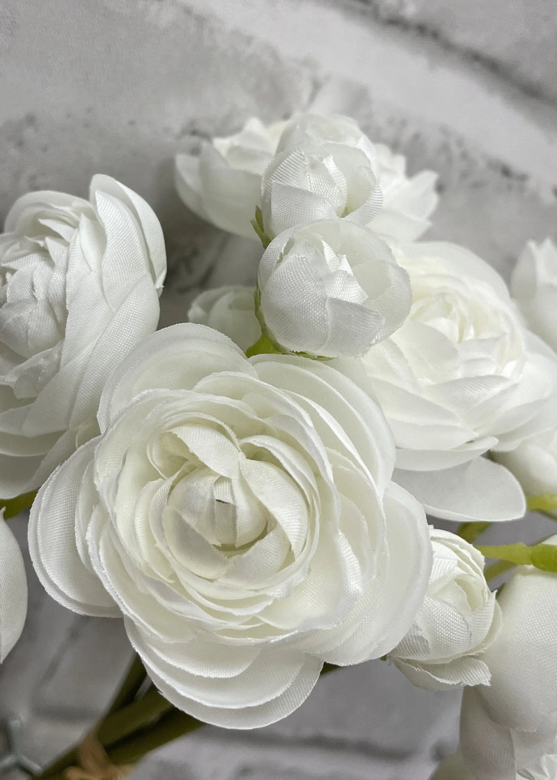 Ranunculus