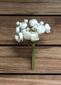 Ranunculus