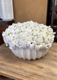 Ranunculus