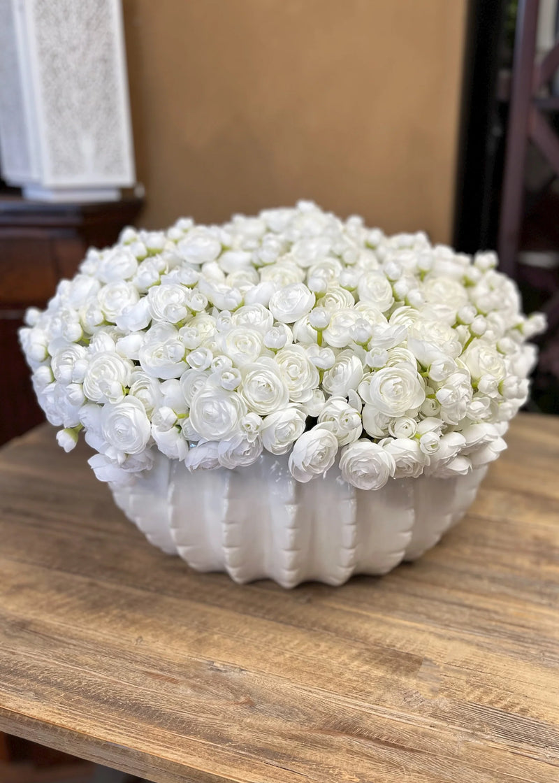 Ranunculus