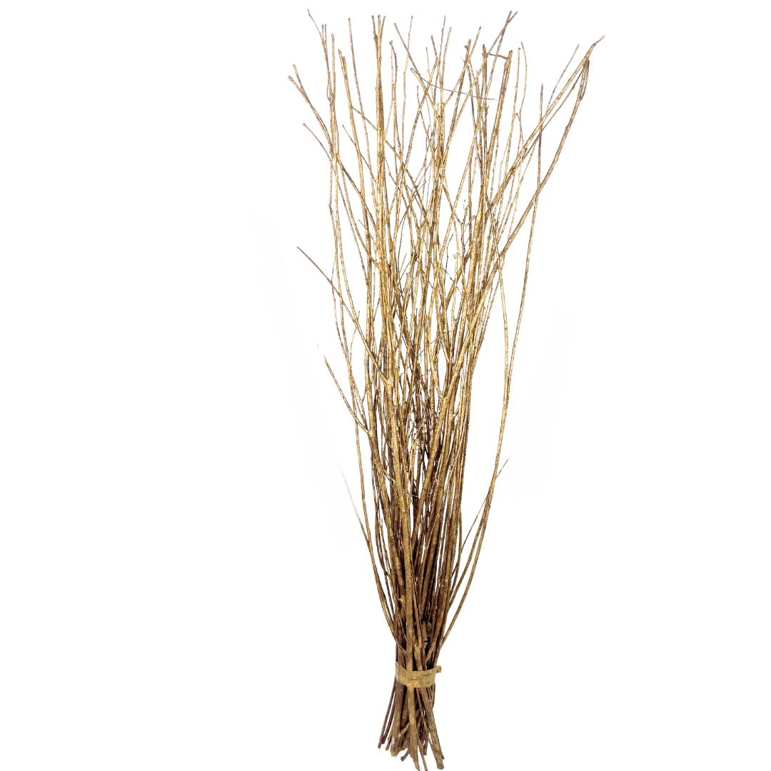 Willow Branches in Gold