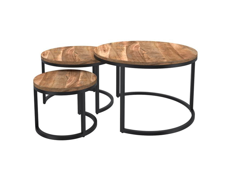 Darsh 3pc Nesting Coffee Table Set