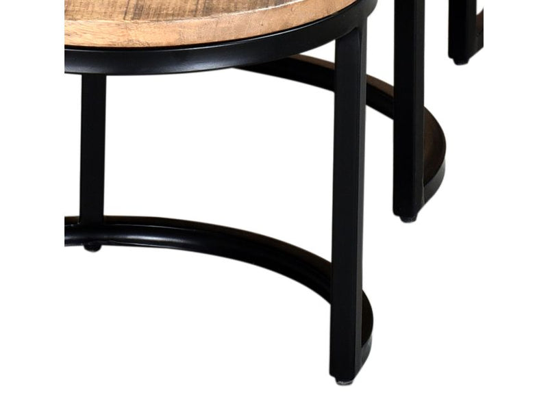 Darsh 3pc Nesting Coffee Table Set