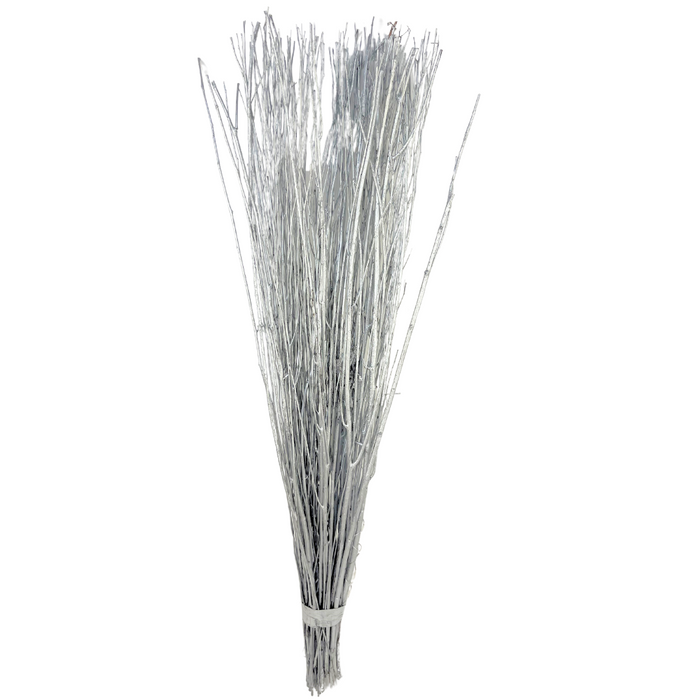 Willow Branches in Silver