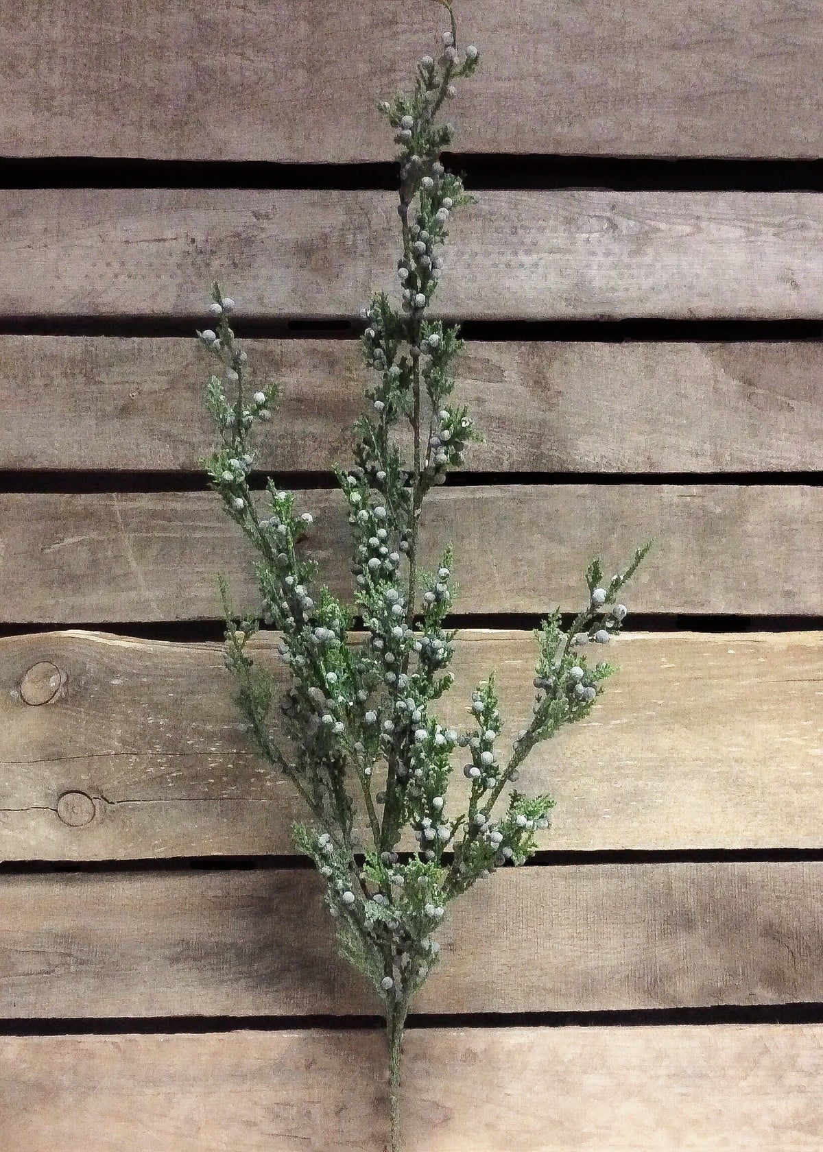 Juniper Berry Spray