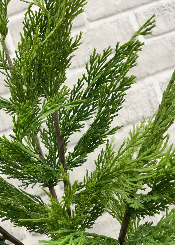 Whispy Cedar Brand