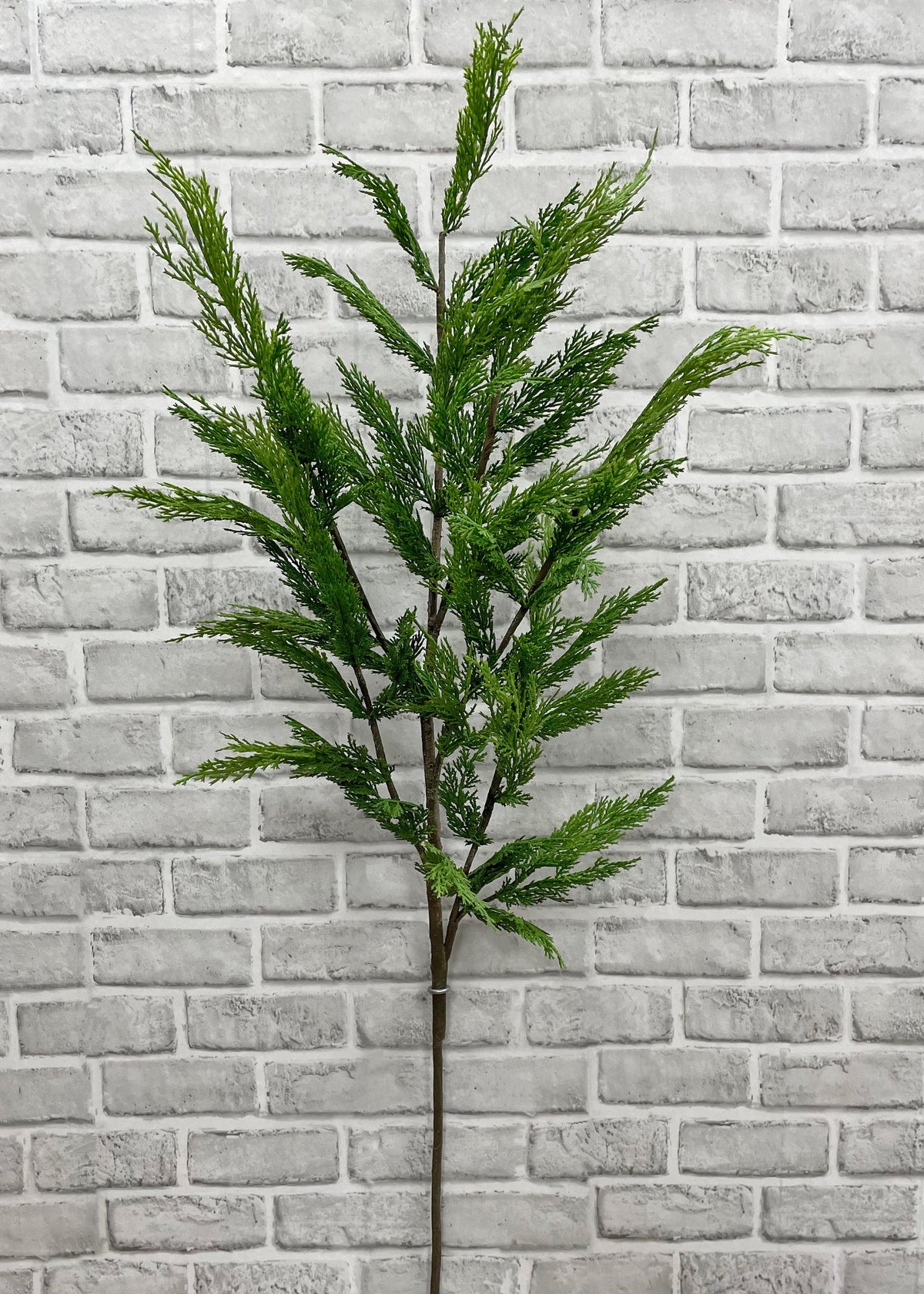 Whispy Cedar Brand