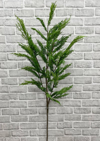 Whispy Cedar Brand