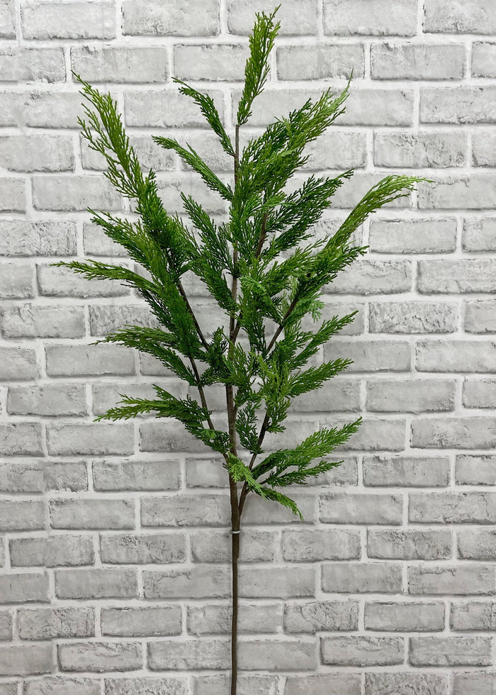 Whispy Cedar Brand