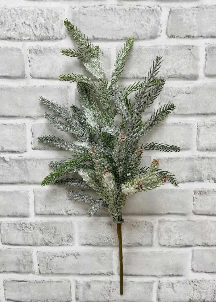 Snowy Norfolk Pine Spray