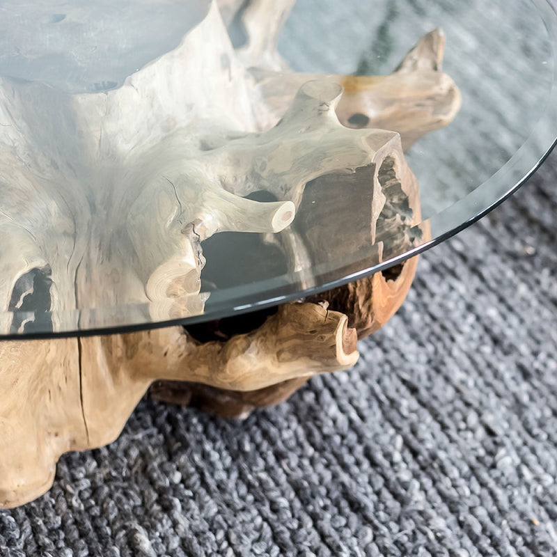 Natura Round Root Coffee Table - Small